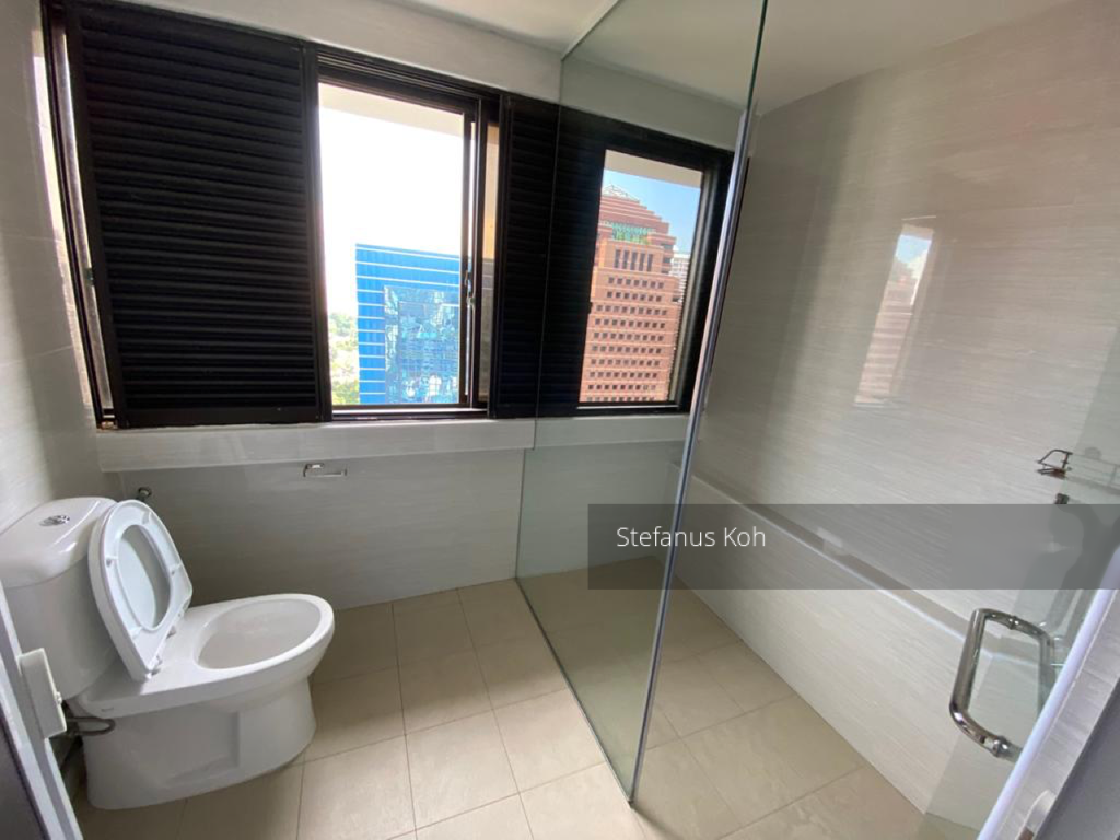 Lucky Plaza (D9), Apartment #297495341